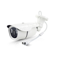 Home-Locking ip-camera met bewegingsdetectie en SONY ship POE 3.0MP (wit) C-502
